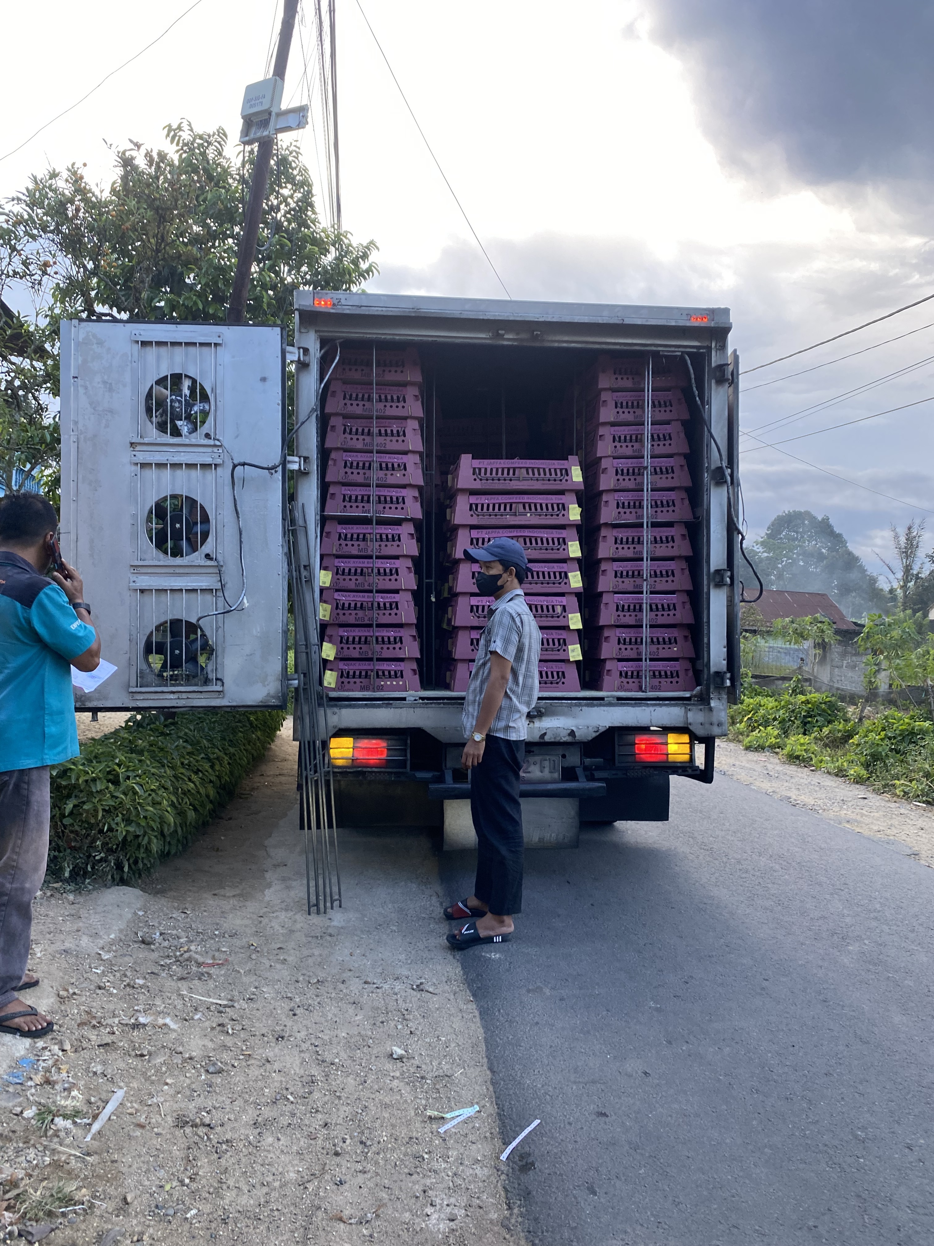 Armada distribusi Damar Trading untuk pengiriman telur dan pakan