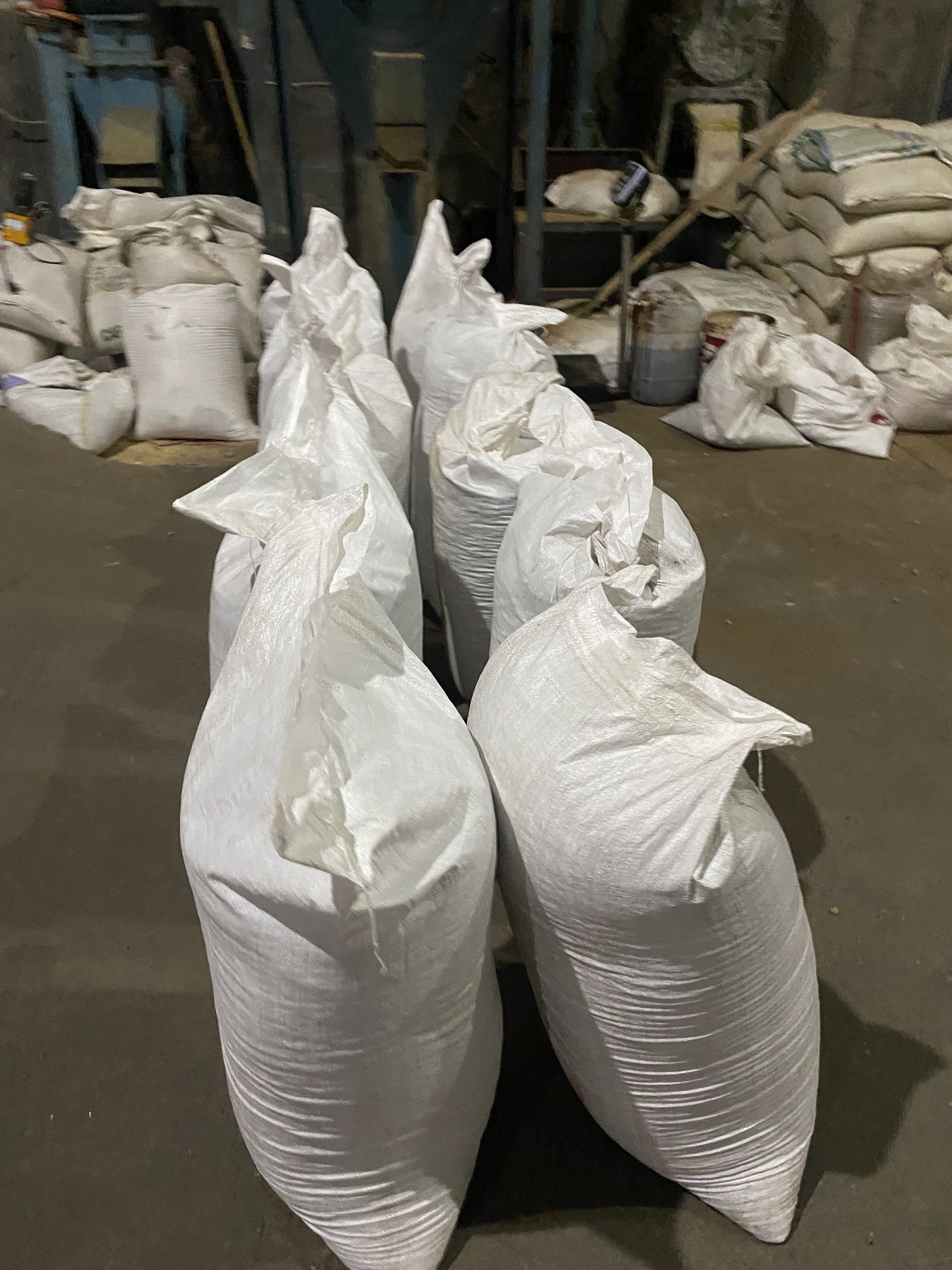 Pakan konsentrat protein tinggi di Damar Trading